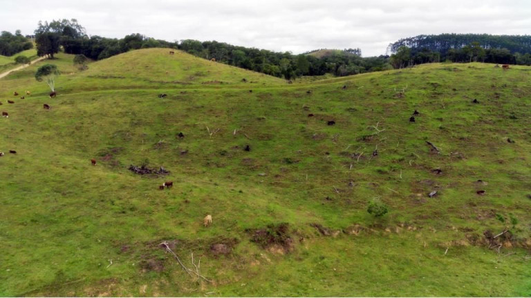 Imagem Imóvel com 2 Quartos à Venda, 950.000 m² em Zona Rural - Presidente Nereu