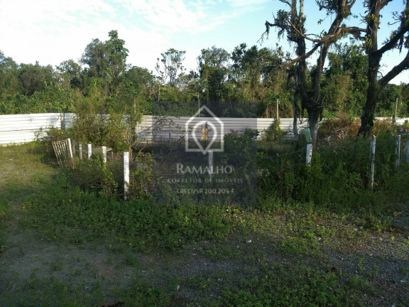 Imagem Chácara com 2 Quartos à Venda, 1.298 m² em Itaguaí - Mongaguá Imagem Chácara com 2 Quartos à Venda, 1.298 m² em Itaguaí - Mongaguá
