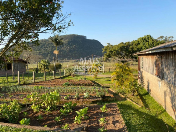 Imagem Imóvel com 3 Quartos à Venda, 79 m² em Fazenda Fialho - Taquara Imagem Imóvel com 3 Quartos à Venda, 79 m² em Fazenda Fialho - Taquara