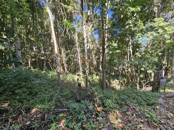Imagem Terreno à Venda, 5.000 m² em Green Valleiy - Teresópolis