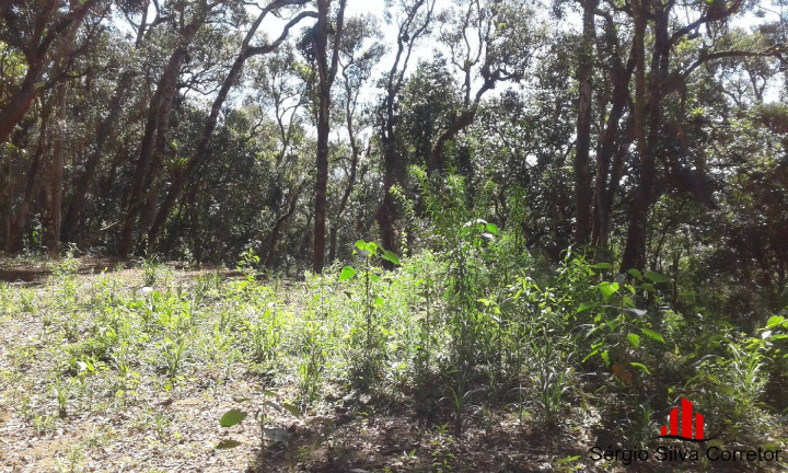Imagem Terreno à Venda, 1 m² em Alto Do Capivari - Campos Do Jordão Imagem Terreno à Venda, 1 m² em Alto Do Capivari - Campos Do Jordão