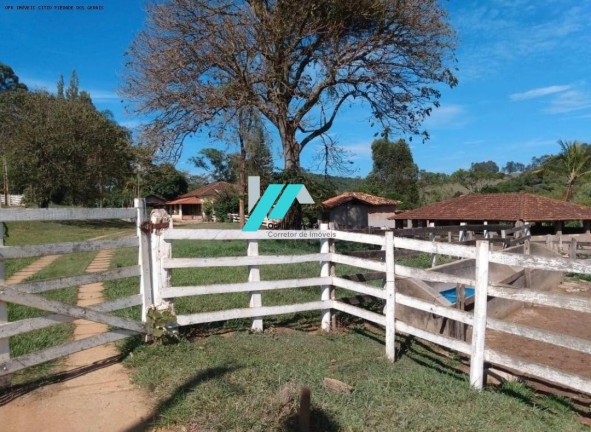 Imagem Fazenda à Venda, 200 m² em Zona Rural - Piedade Dos Gerais Imagem Fazenda à Venda, 200 m² em Zona Rural - Piedade Dos Gerais