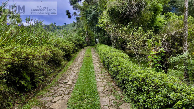 Imagem Chácara à Venda, 610.000 m² em Serrano - São Bento Do Sapucaí