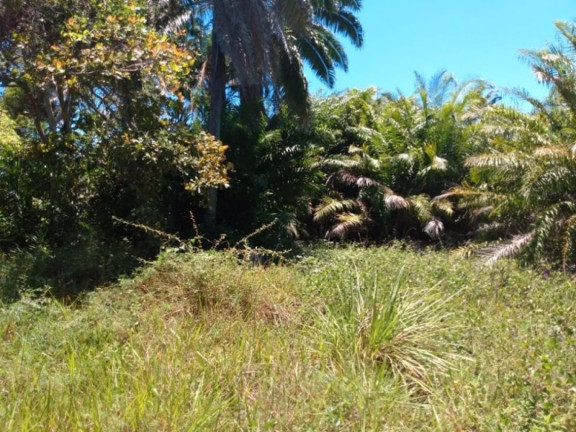 Imagem Terreno à Venda, 20.000 m² em Barra Do Jacuípe - Camaçari Imagem Terreno à Venda, 20.000 m² em Barra Do Jacuípe - Camaçari