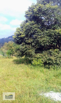Imagem Terreno à Venda, 1.600 m² em Chácara Santa Mônica - Vargem Grande Paulista