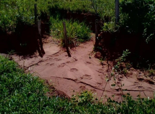 Imagem Imóvel à Venda,  em Colinas Do Tocantins - Colinas Do Tocantins