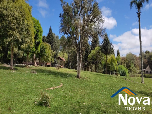 Imagem Imóvel à Venda,  em Linha Imperial - Nova Petrópolis
