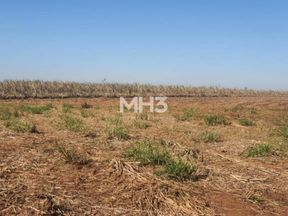 Imagem Terreno à Venda, 135.000 m² em Polo Industrial - Santa Bárbara D'oeste Imagem Terreno à Venda, 135.000 m² em Polo Industrial - Santa Bárbara D'oeste