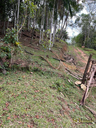 Imagem Chácara com 4 Quartos à Venda, 52.000 m² em Miracatu