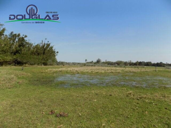 Imagem Chácara à Venda, 20.000 m² em águas Claras - Viamão Imagem Chácara à Venda, 20.000 m² em águas Claras - Viamão
