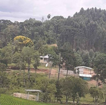 Imagem Imóvel com 3 Quartos à Venda,  em Antonio Olinto - Antônio Olinto