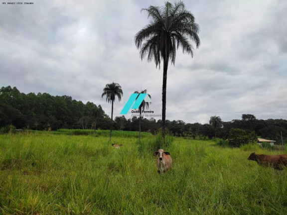 Imagem Fazenda à Venda, 5 m² em Zona Rural - Itaguara Imagem Fazenda à Venda, 5 m² em Zona Rural - Itaguara