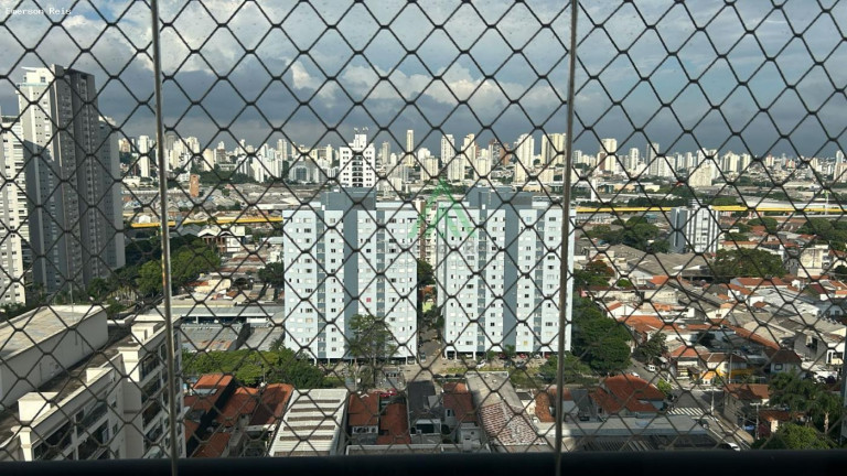 Imagem Casa com 3 Quartos à Venda, 140 m² em Ipiranga - São Paulo Imagem Casa com 3 Quartos à Venda, 140 m² em Ipiranga - São Paulo