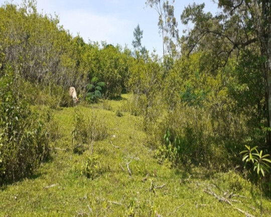 Imagem Imóvel com 1 Quarto à Venda,  em Vila Rica - Presidente Lucena