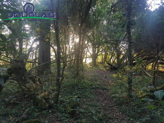 Imagem Chácara à Venda, em Viamão Imagem Chácara à Venda, em Viamão