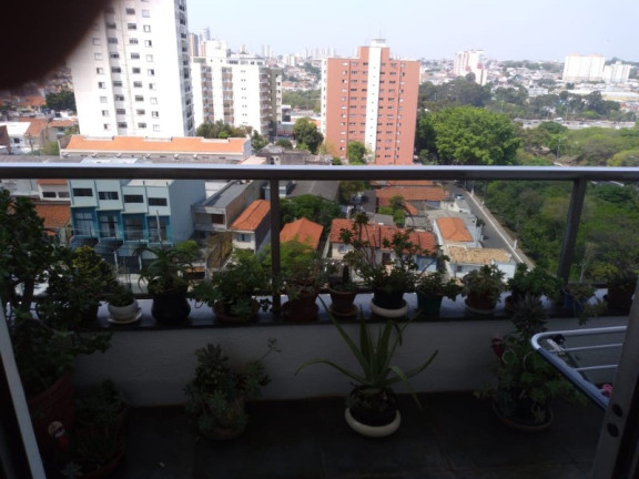 Imagem Imóvel com 4 Quartos à Venda, 142 m² em Vila Monte Alegre - São Paulo Imagem Imóvel com 4 Quartos à Venda, 142 m² em Vila Monte Alegre - São Paulo