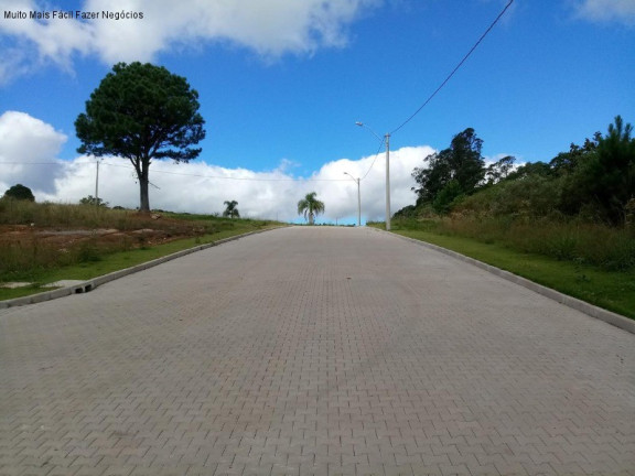 Imagem Terreno à Venda, 370 m² em Linha Imperial - Nova Petrópolis