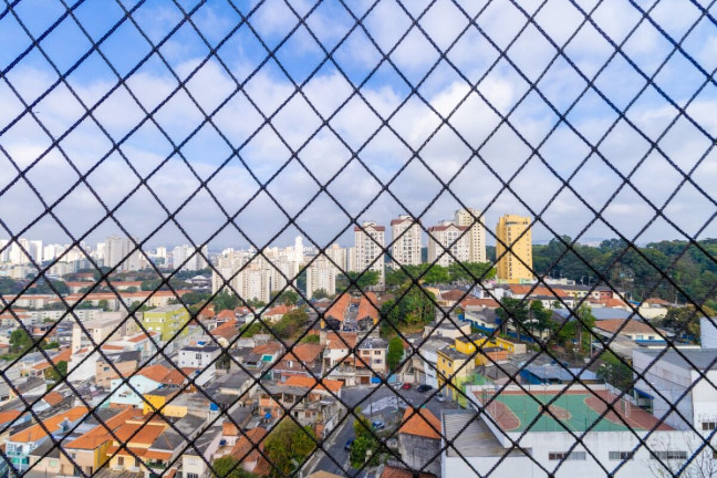 Imagem Apartamento com 3 Quartos à Venda, 72 m² em Parque Mandaqui - São Paulo