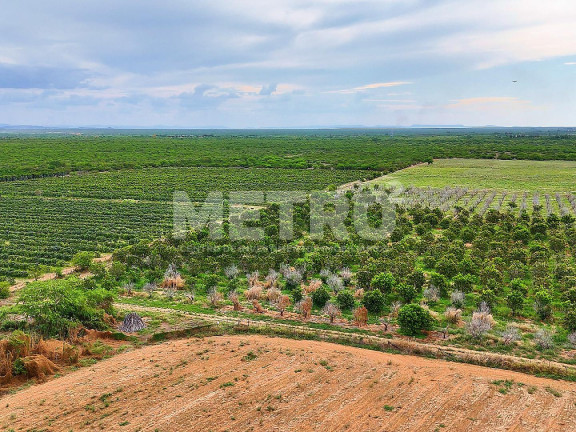 Imagem Fazenda à Venda, em área Rual - Petrolina Imagem Fazenda à Venda, em área Rual - Petrolina