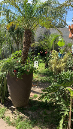 Imagem Casa com 2 Quartos à Venda,  em Centro - Tramandaí