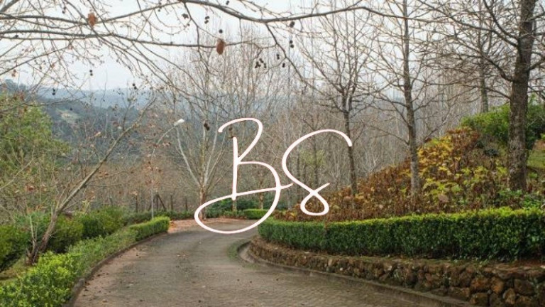 Imagem Imóvel com 2 Quartos à Venda,  em Linha Bonita - Gramado