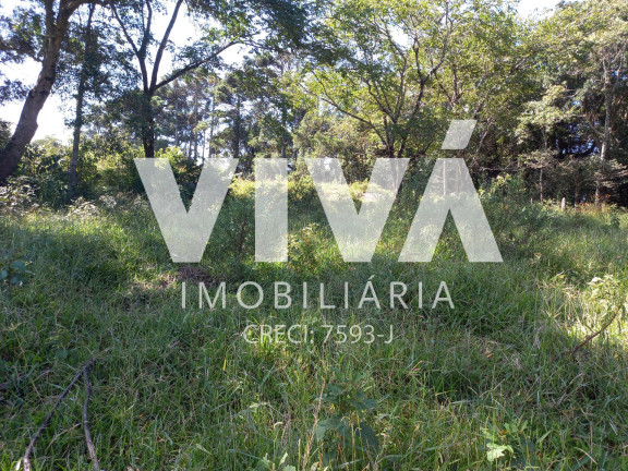 Imagem Fazenda à Venda, 338.800 m² em Rural - Pedra Bela Imagem Fazenda à Venda, 338.800 m² em Rural - Pedra Bela