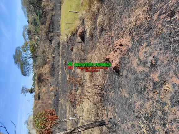 Imagem Terreno à Venda, 500 m² em Santa Cecília 2 - São José Dos Campos Imagem Terreno à Venda, 500 m² em Santa Cecília 2 - São José Dos Campos