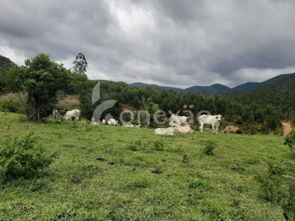 Imagem Fazenda à Venda, 600 m² em Cedro - Paraibuna Imagem Fazenda à Venda, 600 m² em Cedro - Paraibuna
