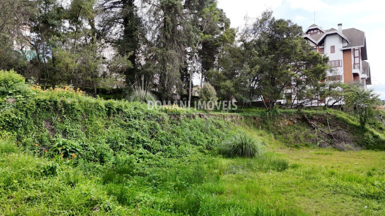 Imagem Terreno à Venda, 2.540 m² em Região De Capivari - Campos Do Jordão Imagem Terreno à Venda, 2.540 m² em Região De Capivari - Campos Do Jordão