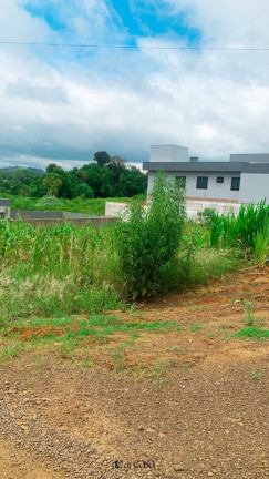 Imagem Terreno à Venda, 450 m² em Moinhos D'água - Lajeado Imagem Terreno à Venda, 450 m² em Moinhos D'água - Lajeado