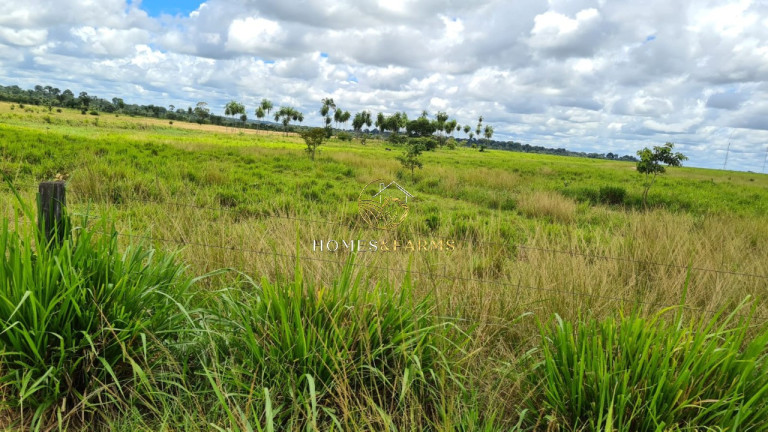 Imagem Imóvel com 3 Quartos à Venda, 43.000 m² em Zona Rural - Aurora Do Pará Imagem Imóvel com 3 Quartos à Venda, 43.000 m² em Zona Rural - Aurora Do Pará