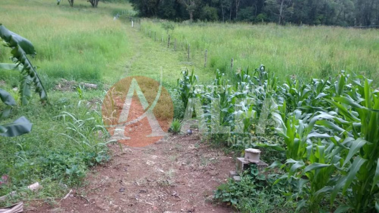 Imagem Terreno à Venda, 31.000 m² em Buru - Salto