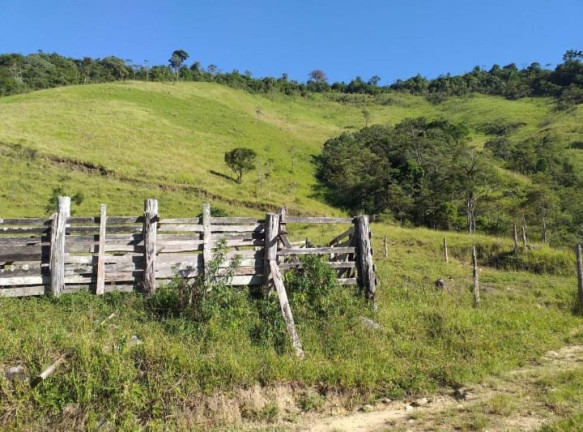 Imagem Fazenda à Venda, 726.000 m² em Tomba - Feira De Santana Imagem Fazenda à Venda, 726.000 m² em Tomba - Feira De Santana