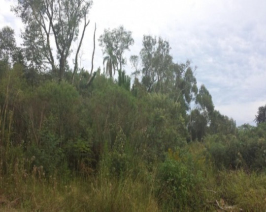 Imagem Terreno à Venda, 2.498 m² em Pousada Da Neve - Nova Petrópolis Imagem Terreno à Venda, 2.498 m² em Pousada Da Neve - Nova Petrópolis