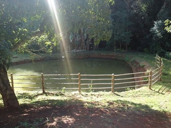 Imagem Chácara com 3 Quartos à Venda, 800 m² em Tanque - Atibaia