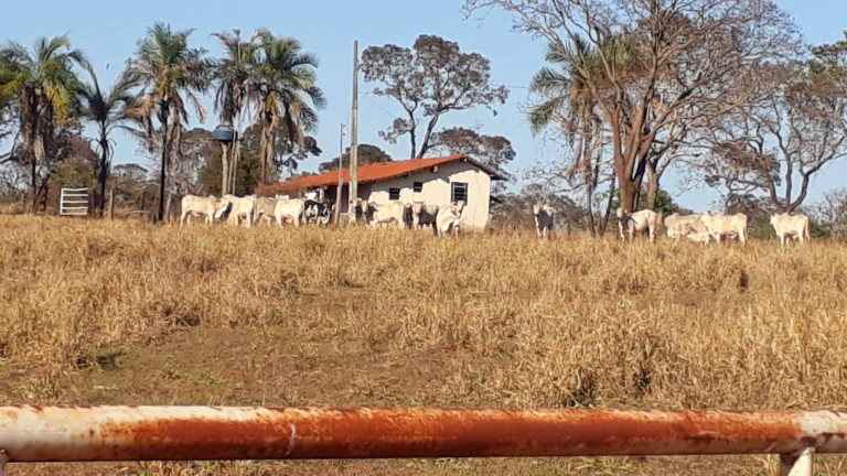 Imagem Fazenda à Venda, 314 m² em Zona Rural - Ituiutaba Imagem Fazenda à Venda, 314 m² em Zona Rural - Ituiutaba