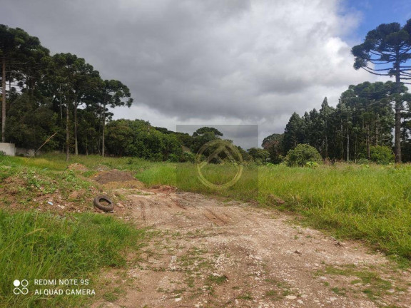 Terreno à Venda, 5.544 m² em Umbará - Curitiba