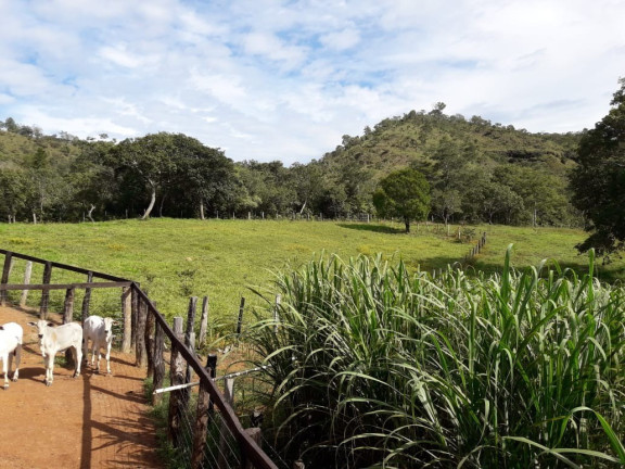 Imagem Imóvel à Venda,  em Palmas - To - Palmas