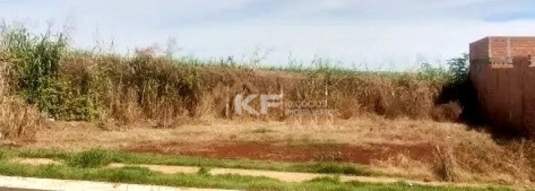 Imagem Terreno à Venda, 312 m² em Jardim Cristo Redentor - Ribeirão Preto Imagem Terreno à Venda, 312 m² em Jardim Cristo Redentor - Ribeirão Preto