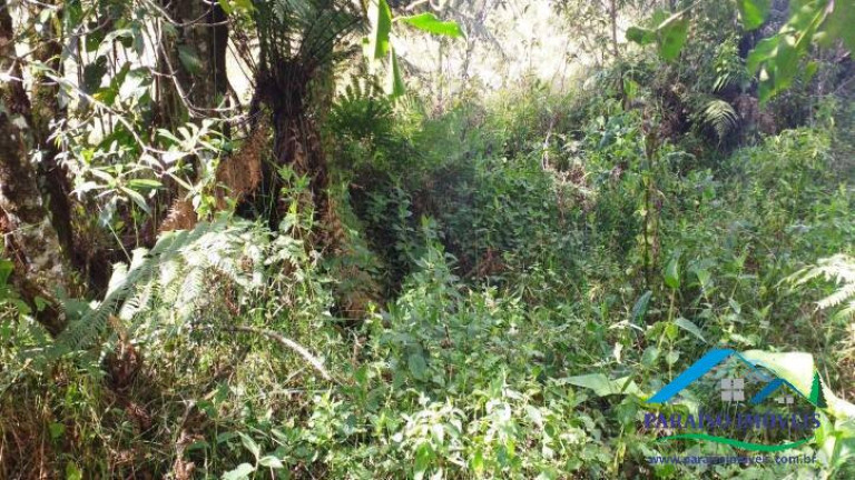 Imagem Terreno à Venda, 113.740 m² em Centro - Gonçalves Imagem Terreno à Venda, 113.740 m² em Centro - Gonçalves