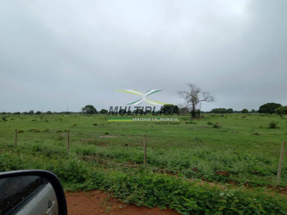 Fazenda à Venda, 2.800 m² em Jussara