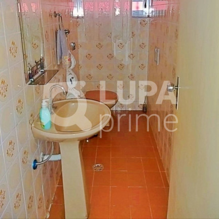 Imagem Casa com 3 Quartos à Venda, 186 m² em Vila Maria - São Paulo