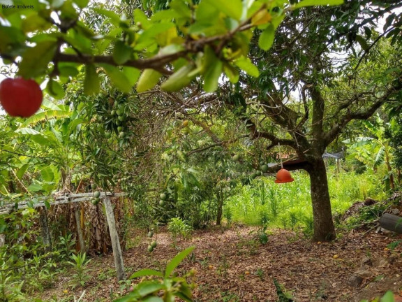 Imagem Imóvel com 2 Quartos à Venda, 13.000 m² em Cleto - Porangaba Imagem Imóvel com 2 Quartos à Venda, 13.000 m² em Cleto - Porangaba