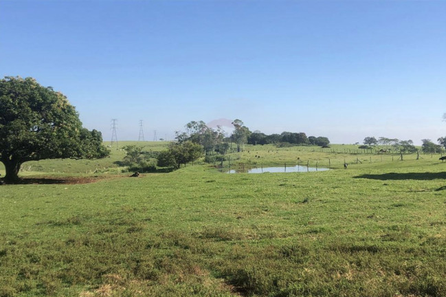 Imagem Fazenda à Venda, 285.000 m² em Centro Imagem Fazenda à Venda, 285.000 m² em Centro