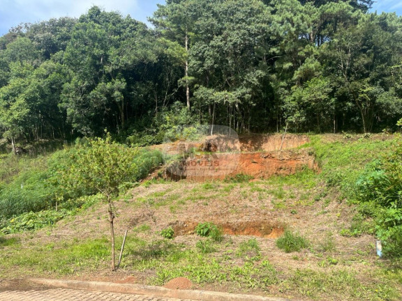 Terreno à Venda, 360 m² em Bavária - Nova Petrópolis