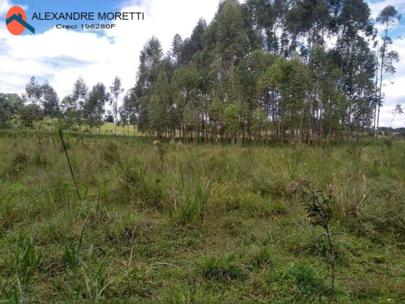 Imagem Chácara à Venda, 85.000 m² em Sorocaba