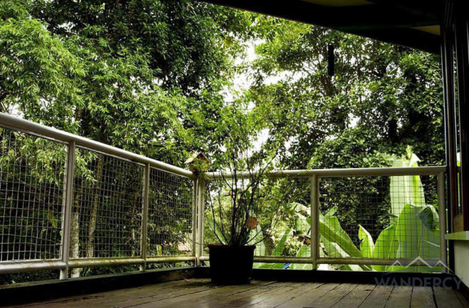 Imagem Casa com 4 Quartos à Venda, 200 m² em Felix - Ubatuba