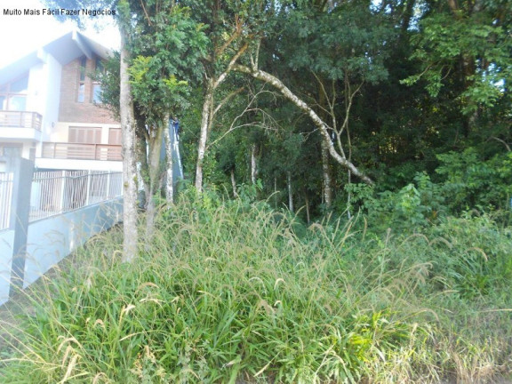 Imagem Terreno à Venda, 405 m² em Juriti - Nova Petrópolis