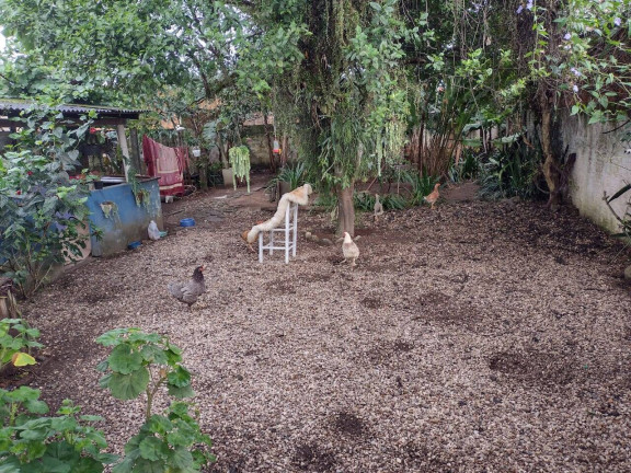 Imagem Casa com 3 Quartos à Venda, 350 m² em Centro - Tijucas Imagem Casa com 3 Quartos à Venda, 350 m² em Centro - Tijucas