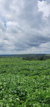 Imagem Fazenda à Venda, 171 m² em Rural - Cabrália Paulista Imagem Fazenda à Venda, 171 m² em Rural - Cabrália Paulista